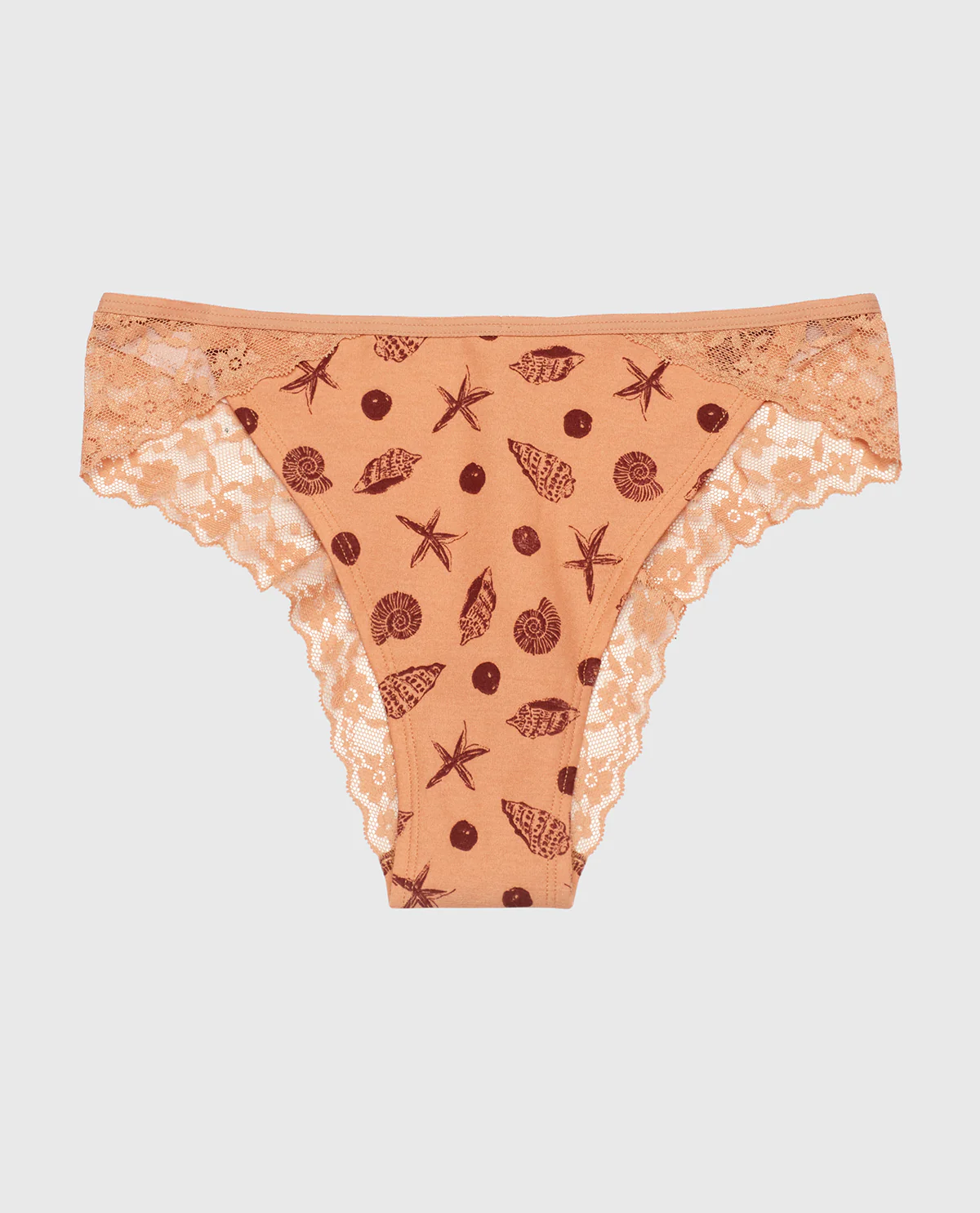Cheeky Panty with Lace Trim in She Sells Sea Shells - Image 4