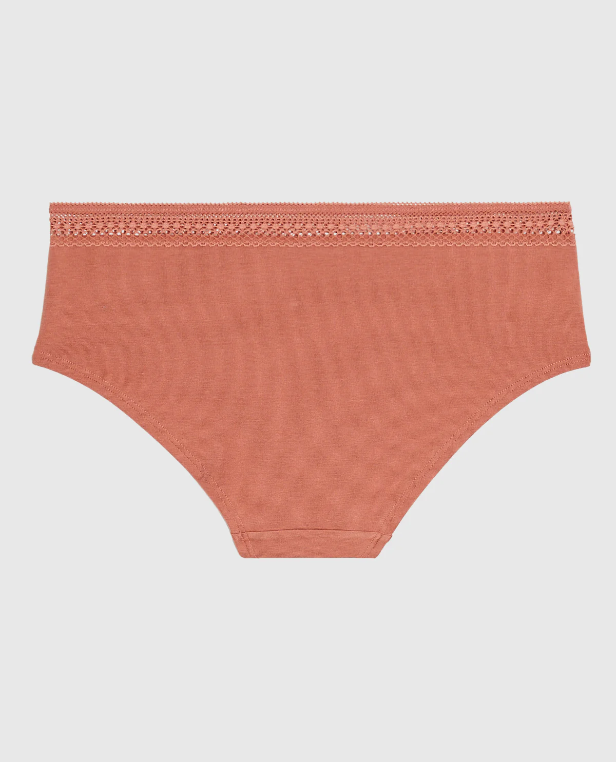 Hipster Panty with Elemental Lace in Rosy Blush - Image 5