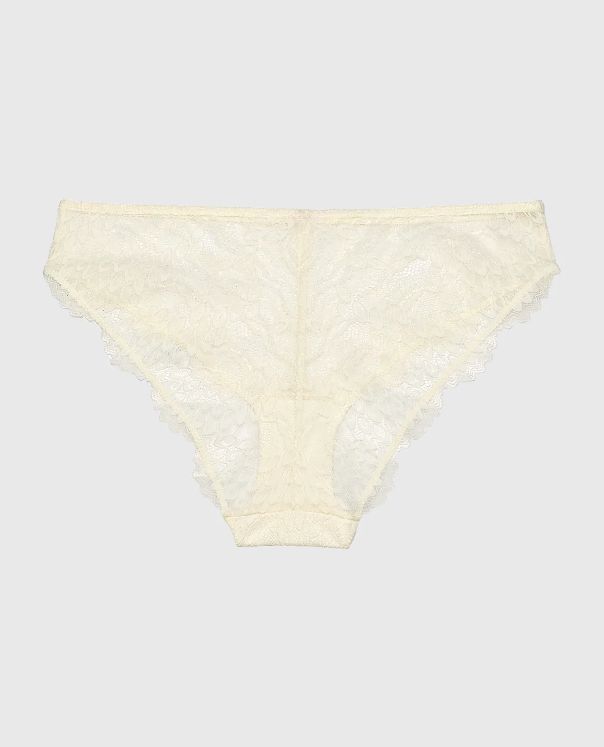 Lace Brief in Gardenia - Image 5