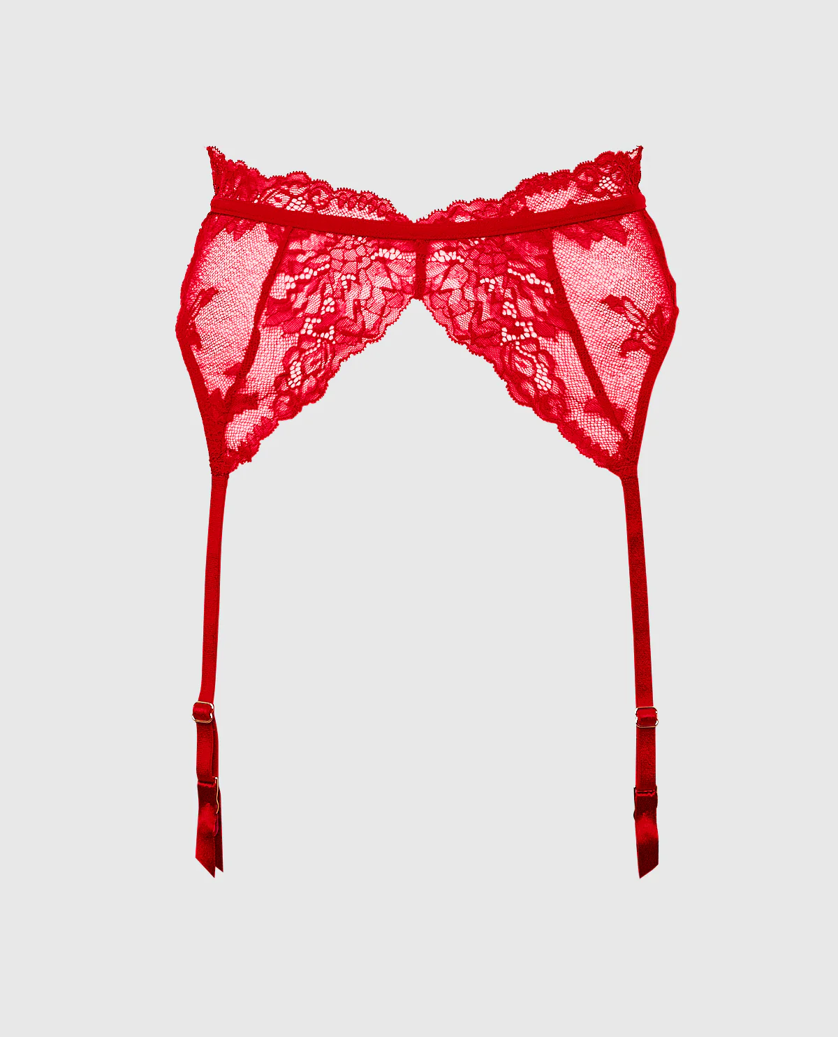 Lace Garter Panty - Image 2