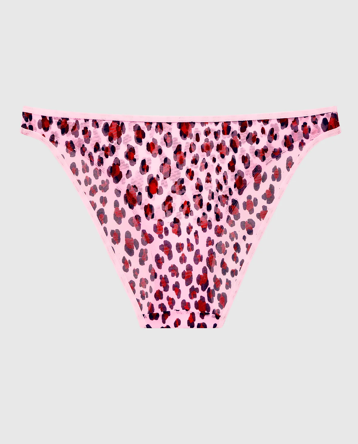 Mesh Bikini Panty - Image 2