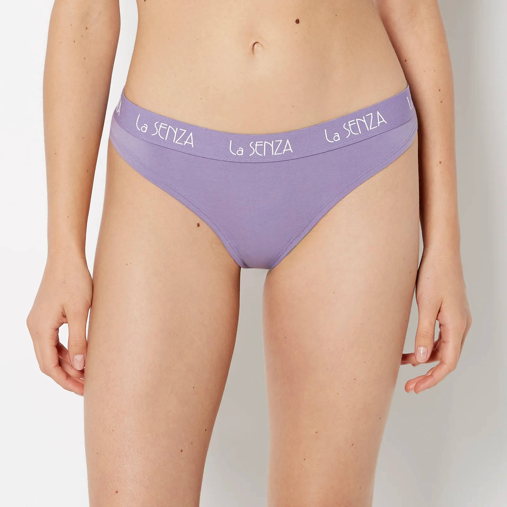 Thong Cotton Panty with Art Deco Logo Band in Purple Haze